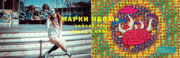 прущие грибы Наволоки