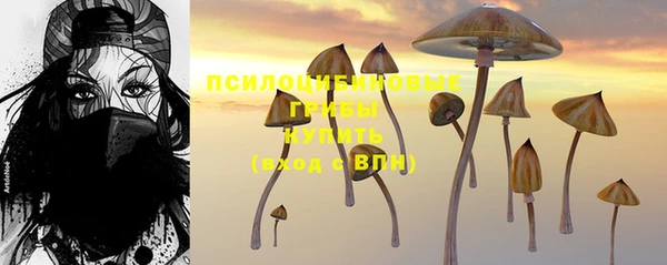 герыч Надым