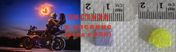 прущие грибы Наволоки