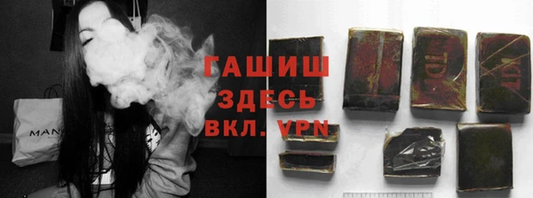 прущие грибы Наволоки