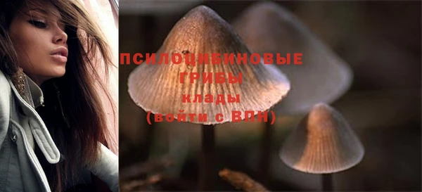 СК Навашино