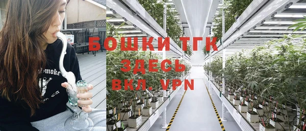 прущие грибы Наволоки