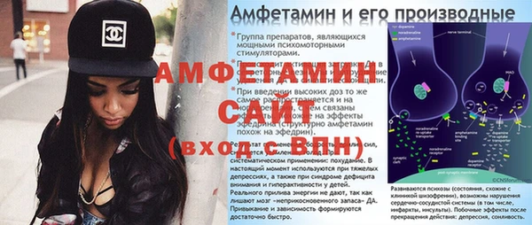 прущие грибы Наволоки