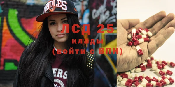 прущие грибы Наволоки