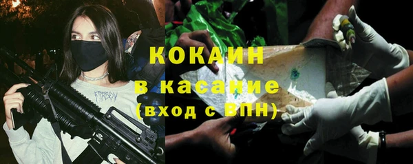 прущие грибы Наволоки