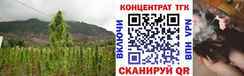 Дистиллят ТГК Wax наркошоп Красноуфимск