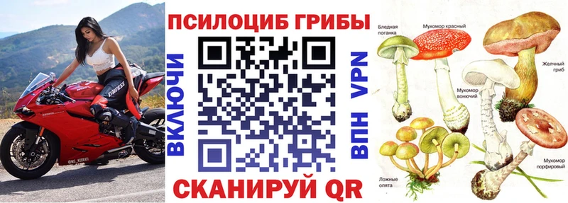 Псилоцибиновые грибы Psilocybe  Красноуфимск 
