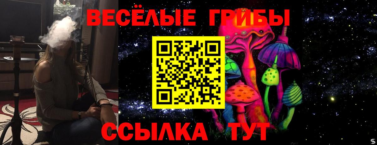 Псилоцибиновые грибы мухоморы Красноуфимск